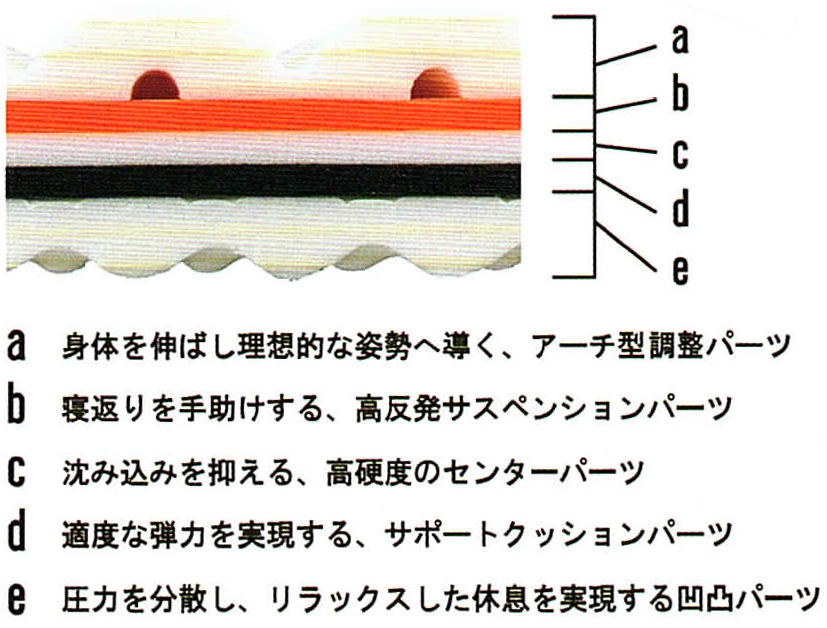 zen13